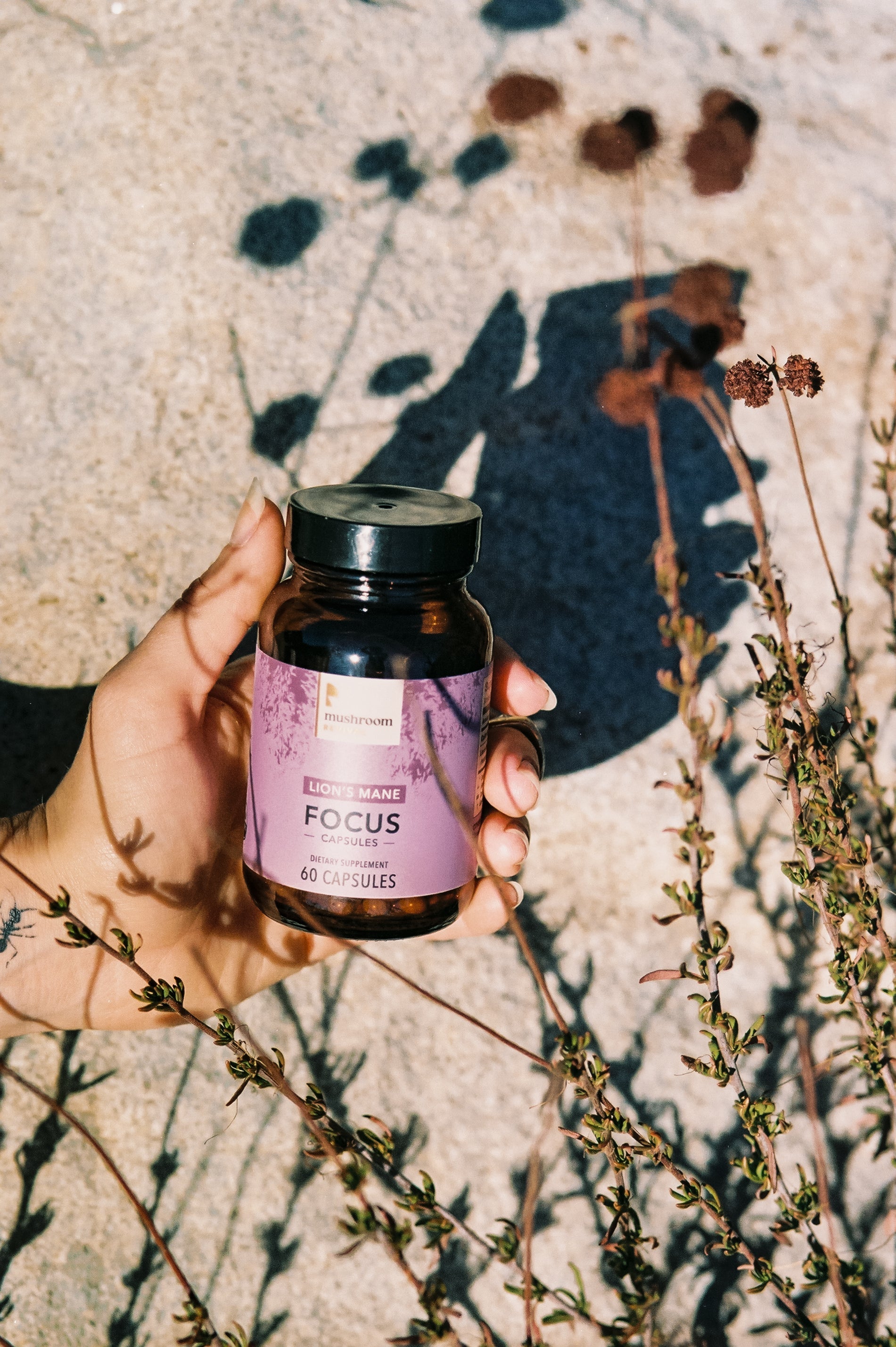 Mushroom Revival Focused & Healthy Mushroom Capsules