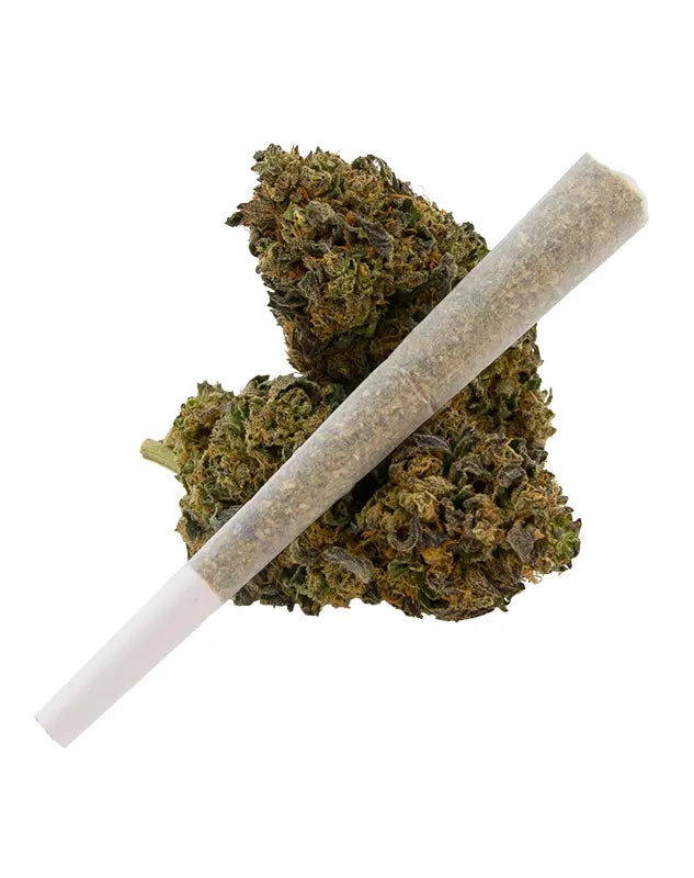 3Chi 1.5g Diamond Knock-Out THCA Infused Pre-Roll Best Price