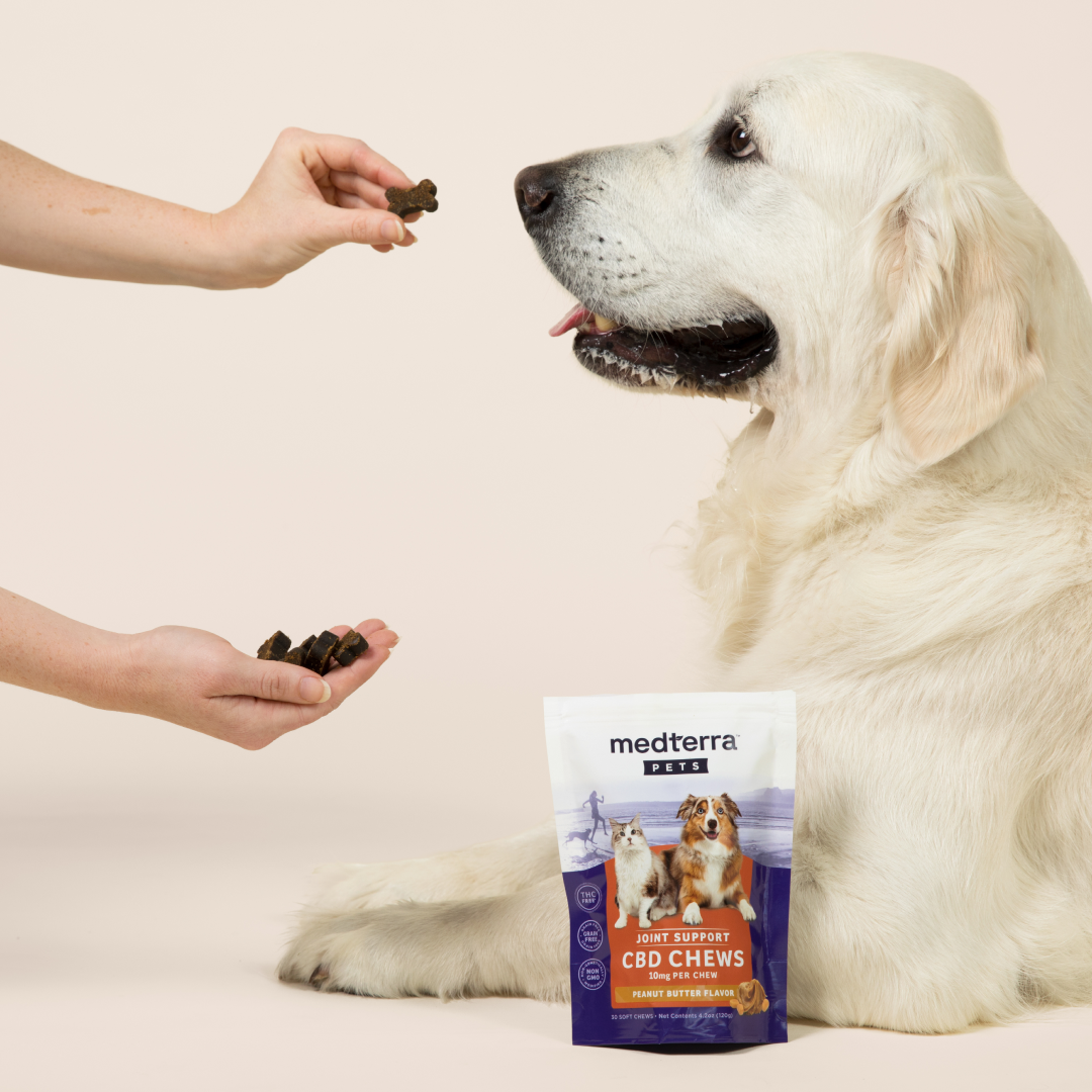 Medterra Pet CBD Joint Support Chews