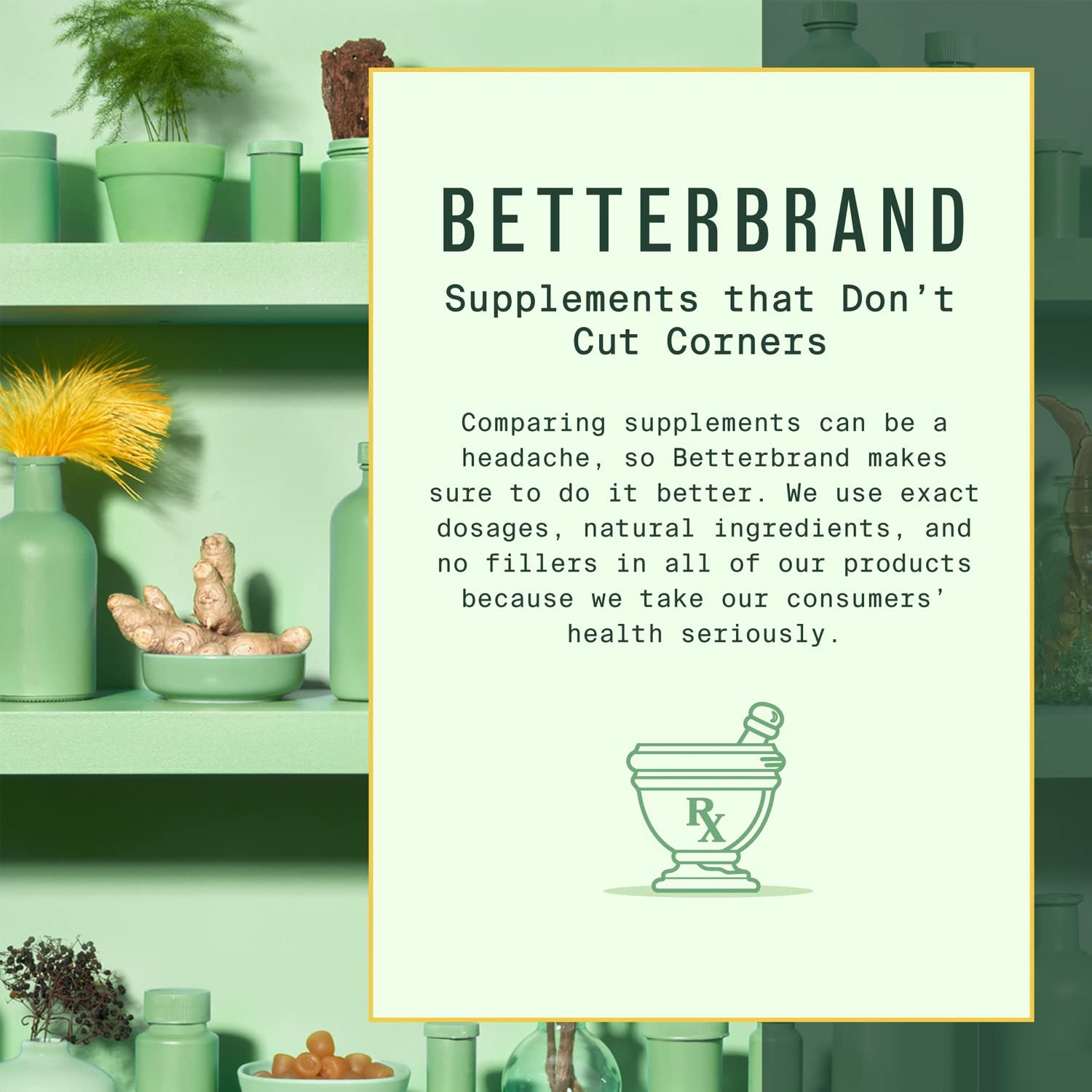 BetterBrand Party Kit
