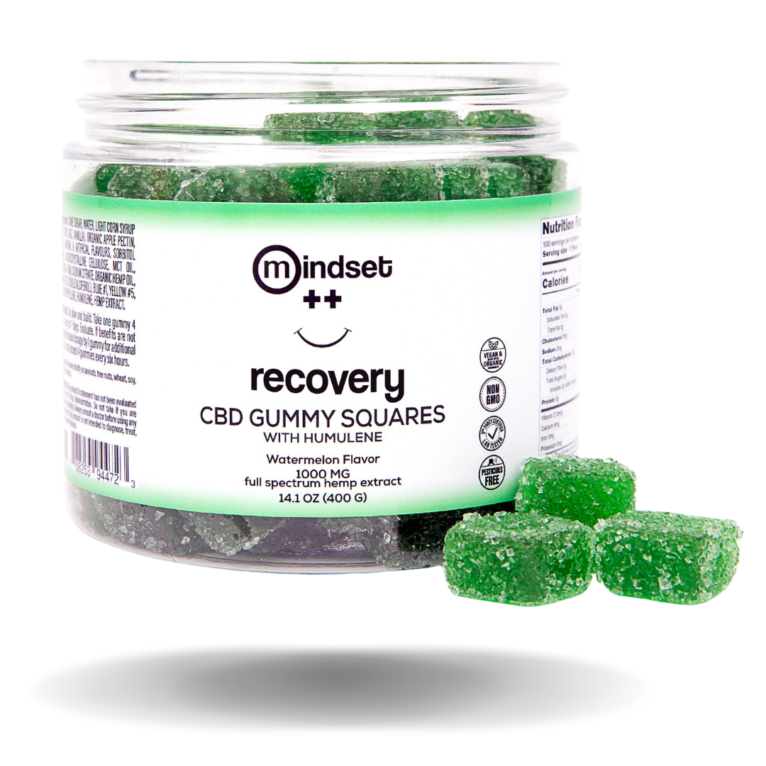 Mindset RECOVERY Gummies Best Price