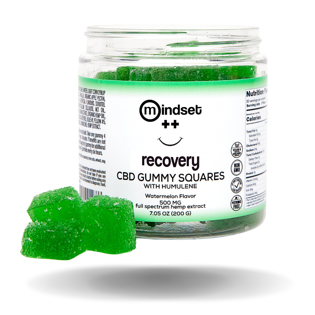 Mindset RECOVERY Gummies Best Price