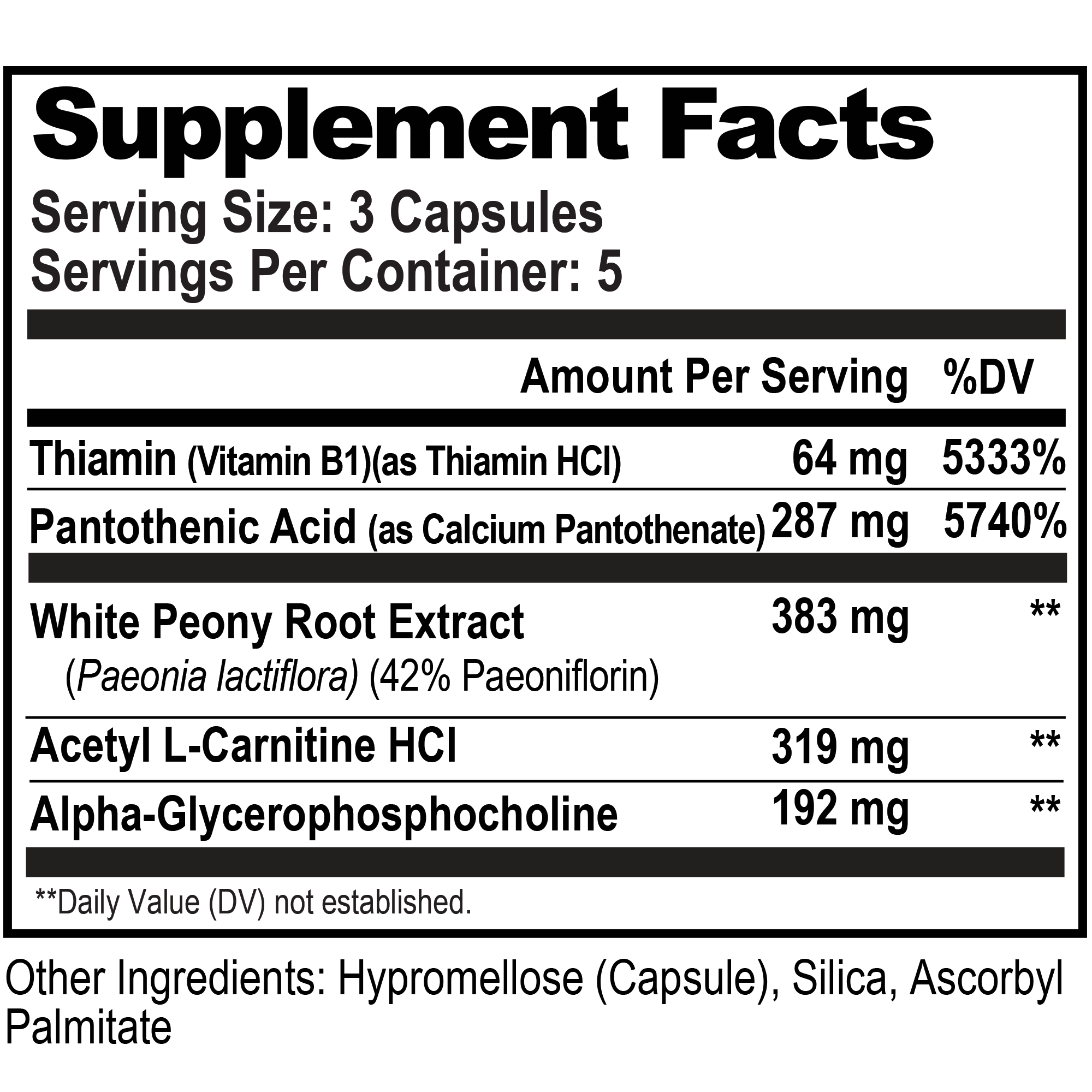 Mini Brain Food™ Box