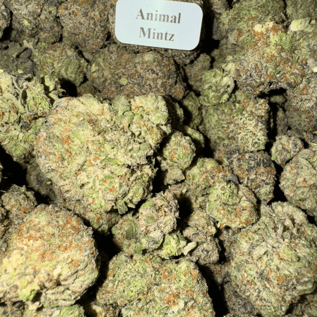 Bloomz Blazed Exotic THCA Flower Best Price