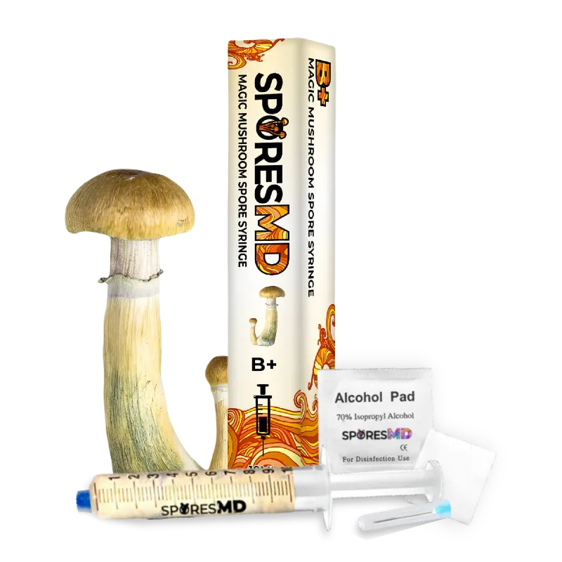 SporesMD B+ Mushroom Liquid Culture (10ml)