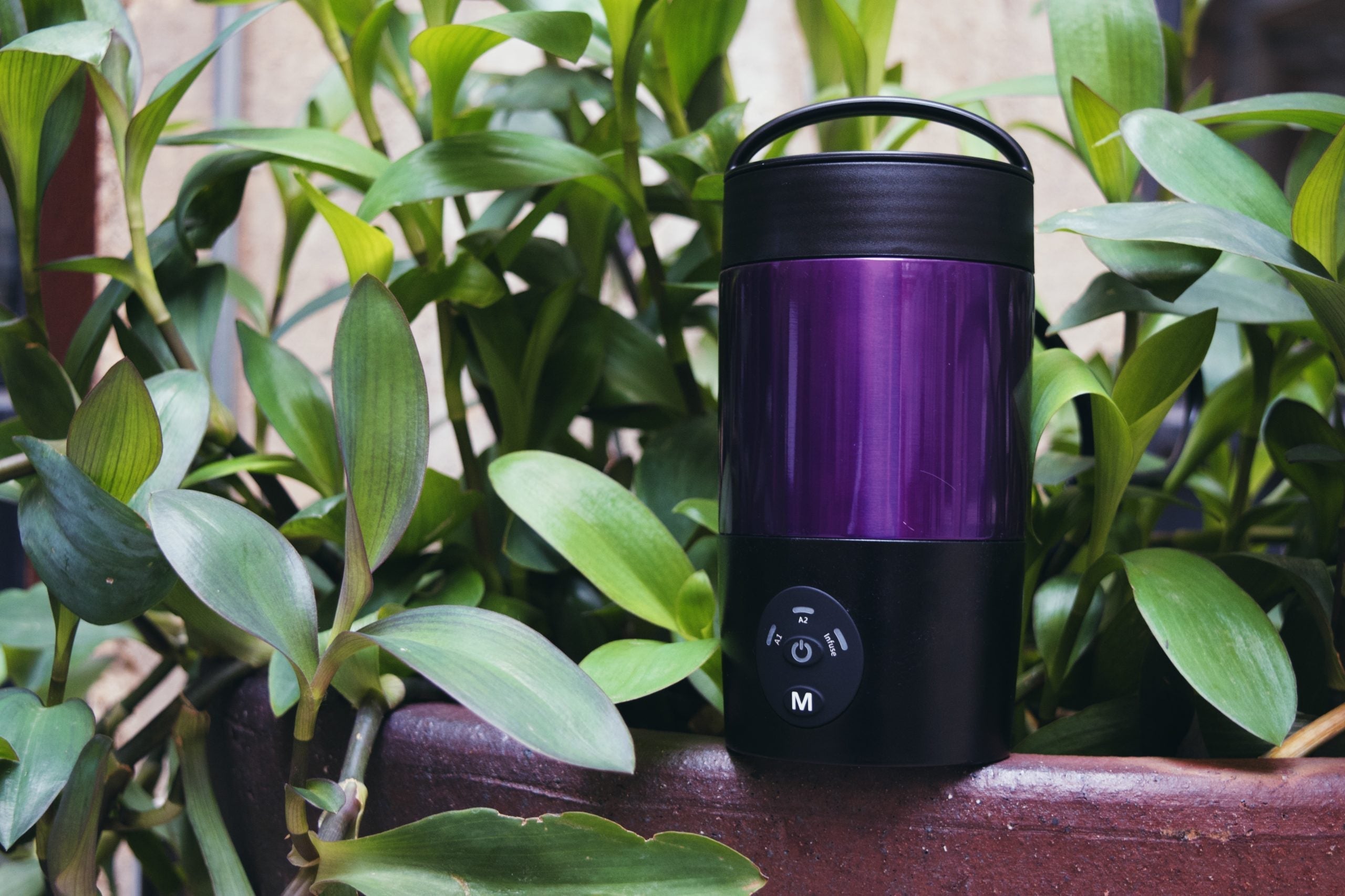 Ardent Mighty Mini Bundle Best Price