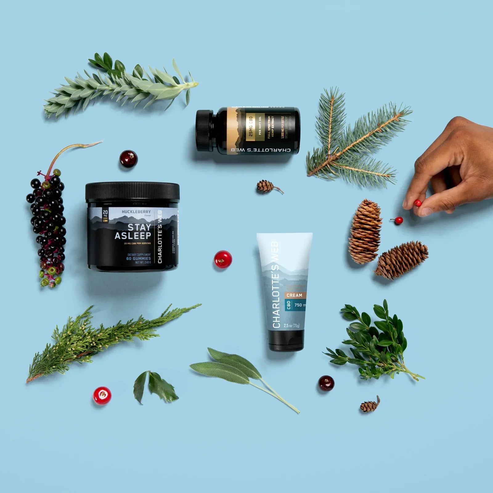 Charlotte's Web The Bedtime Bliss Bundle Best Price