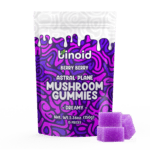 Binoid Astral Plane Mushroom Gummies Best Price