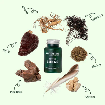 BetterLungs SeaMoss Tincture 5-Pack