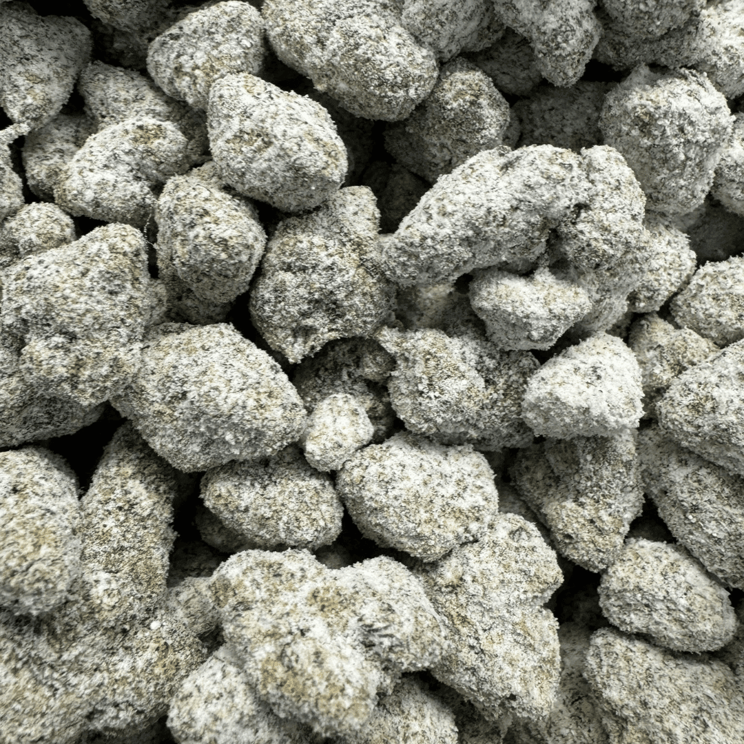 Bloomz Blazed Strongest Exotic Snow Caps Best Price