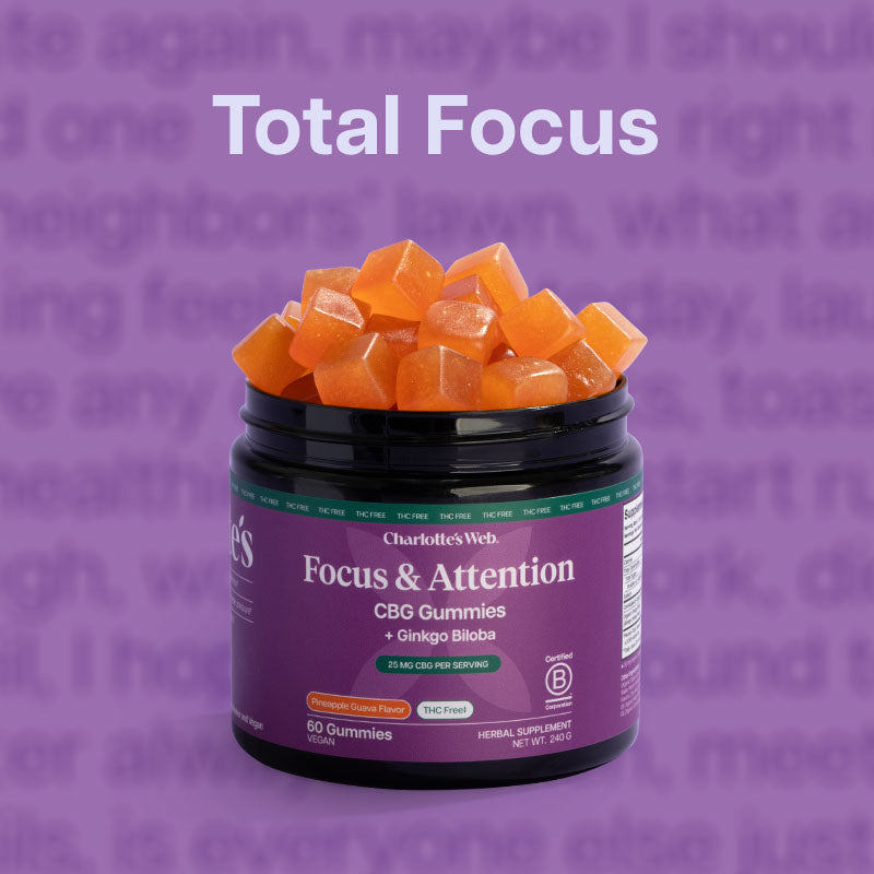Charlotte's Web Focus & Attention CBG Gummy