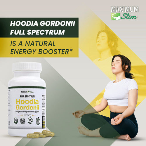 Maximum Slim Hoodia Gordonii Full Spectrum Best Price