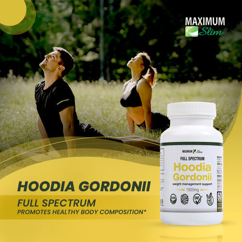 Maximum Slim Hoodia Gordonii Full Spectrum Best Price