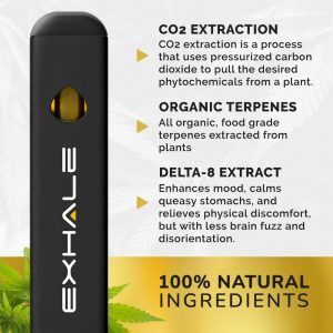 Delta 8 Disposable Vape Pen - Pineapple Express