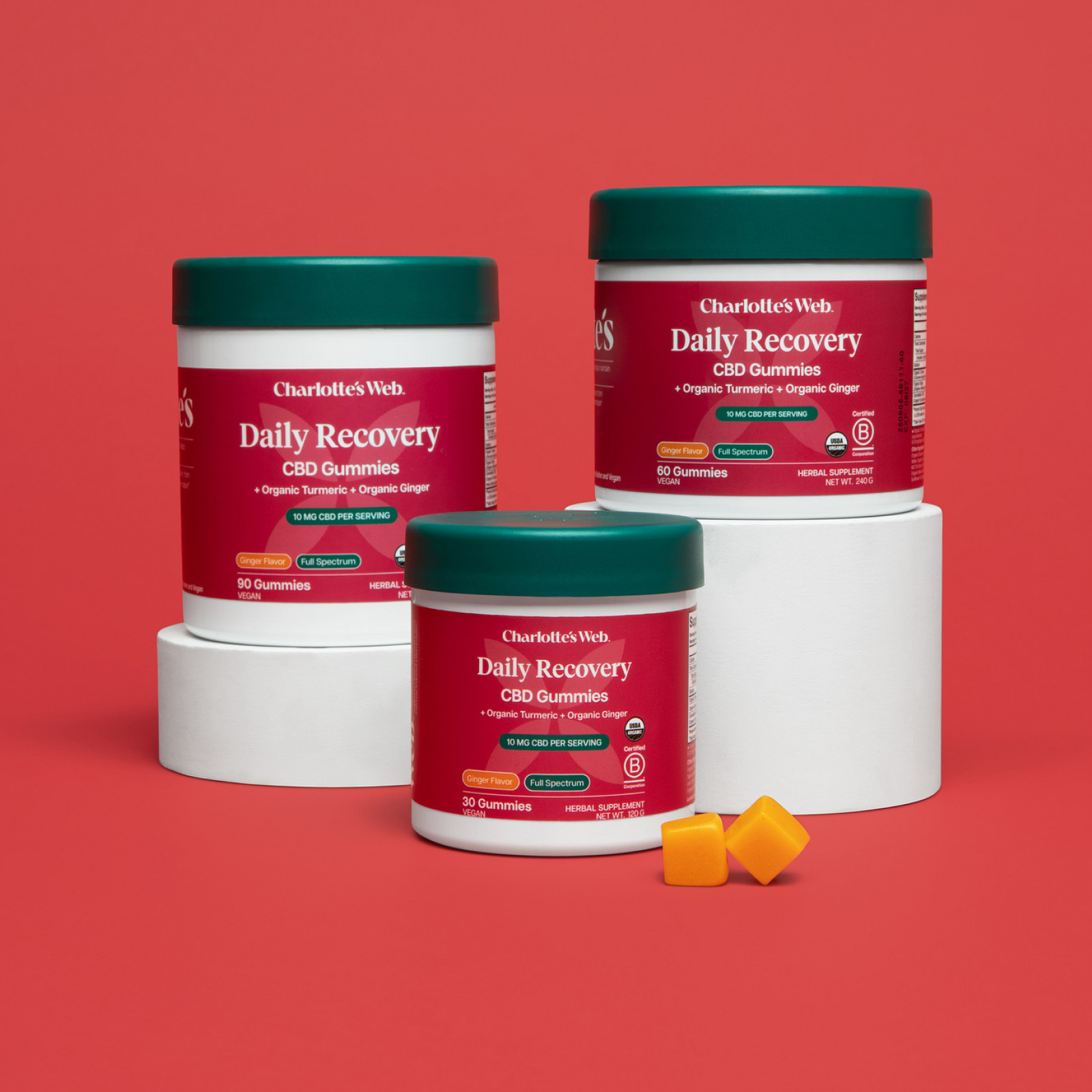 Charlotte's Web Daily Recovery CBD Gummies