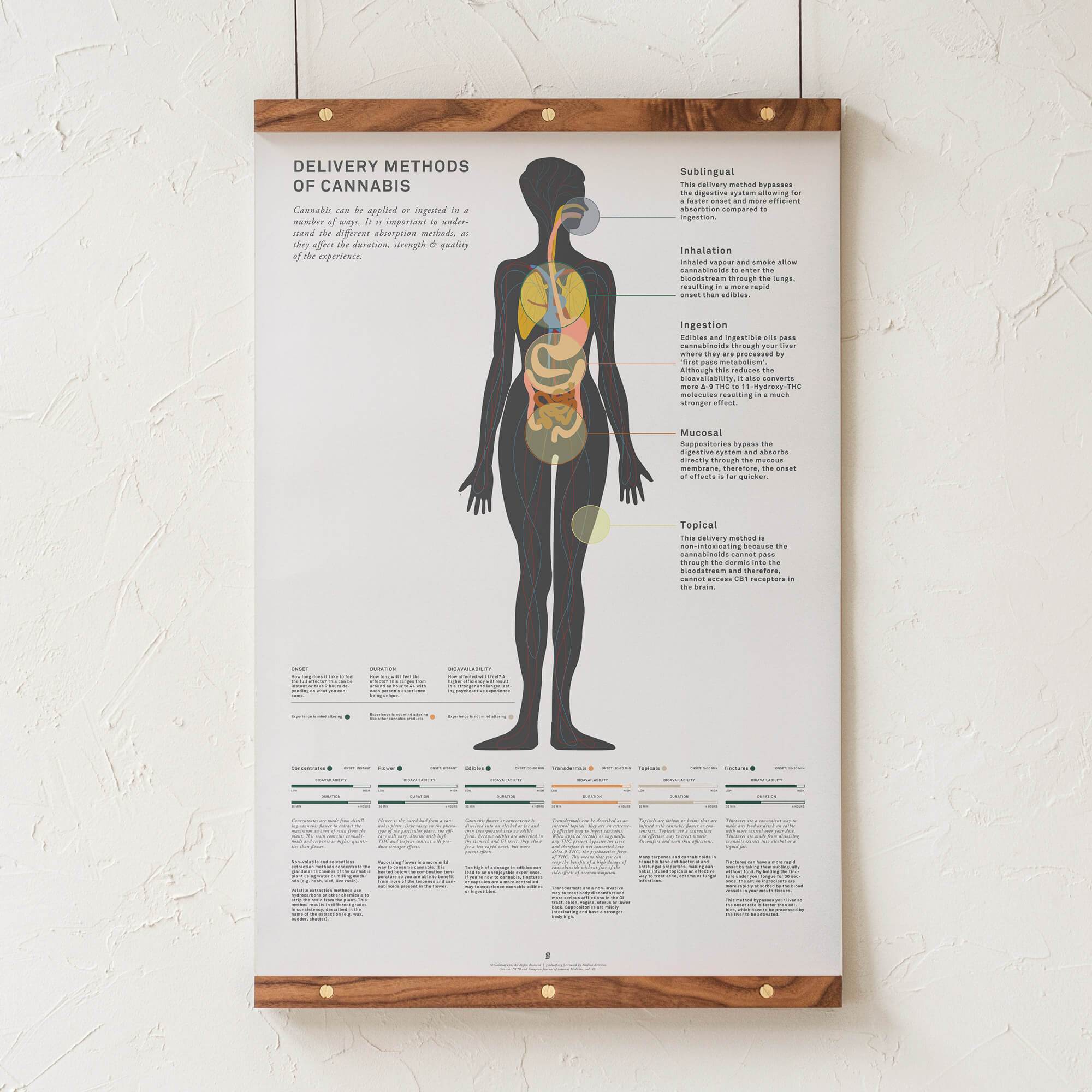 GoldLeaf Impresión Gráfico de Métodos Administración de Cannabis