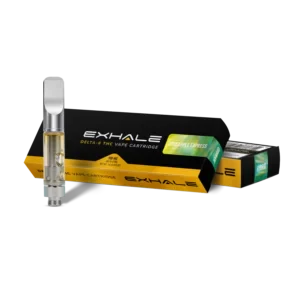Delta-8 Vape Cartridge - Pineapple Express