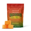 Exhale High Potency Mushroom Gummies