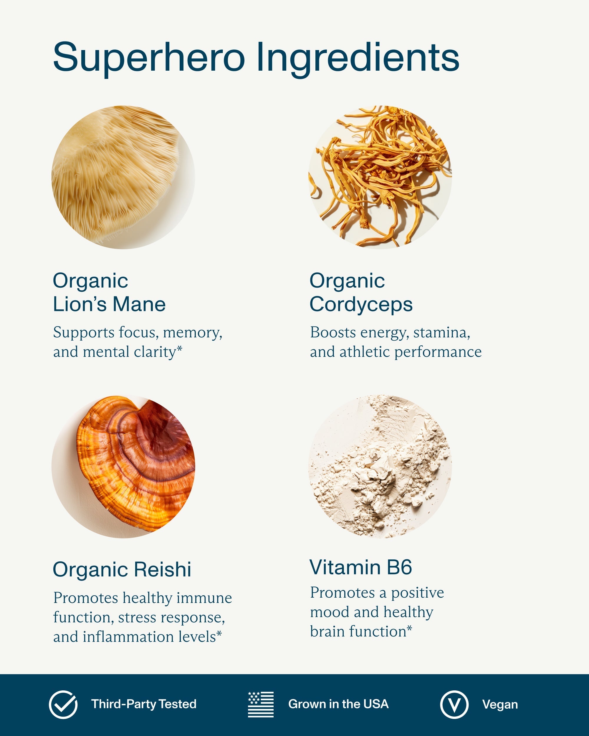 FOCL Better Brain Gummies