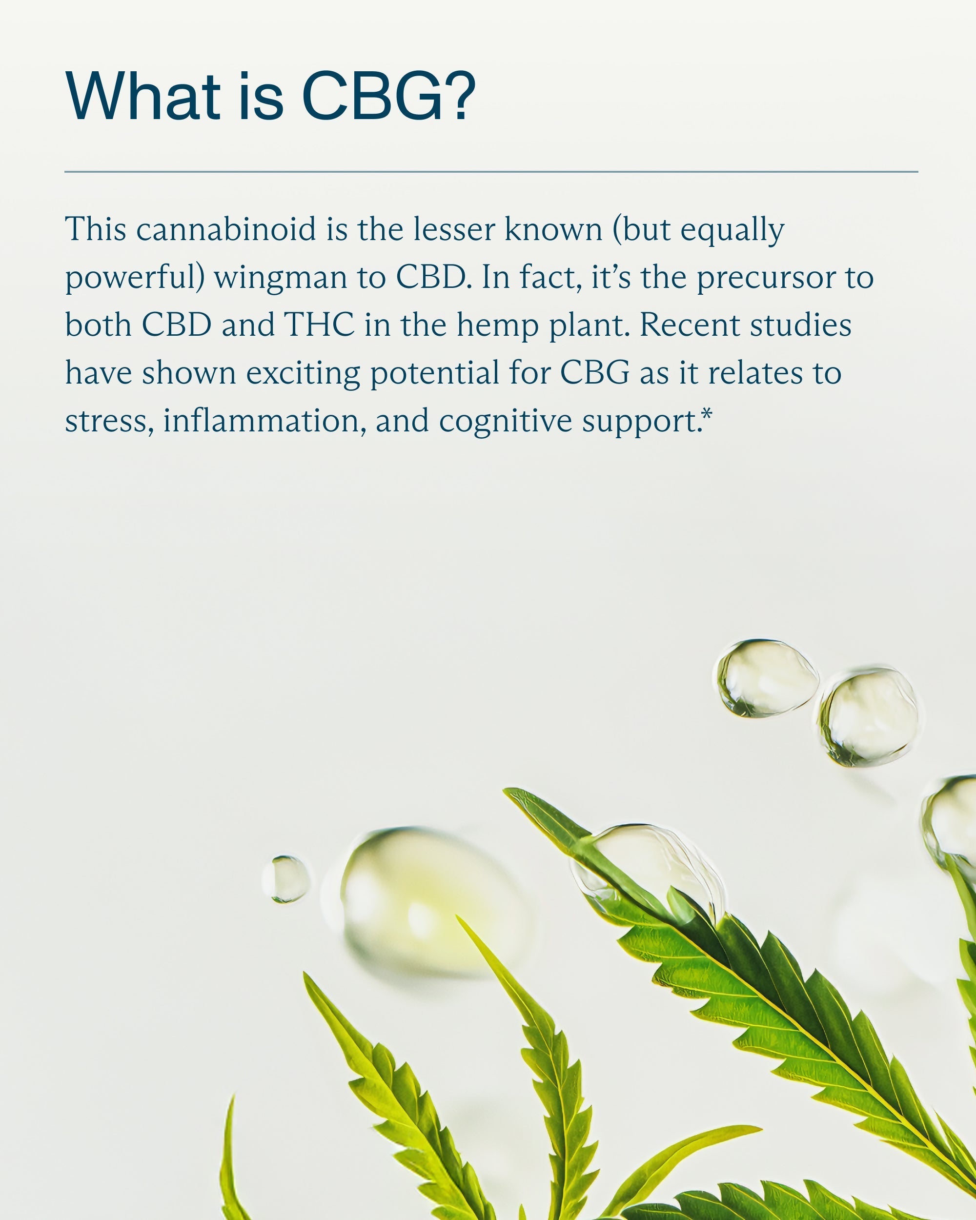 FOCL Daily Soothe CBG+CBD Drops