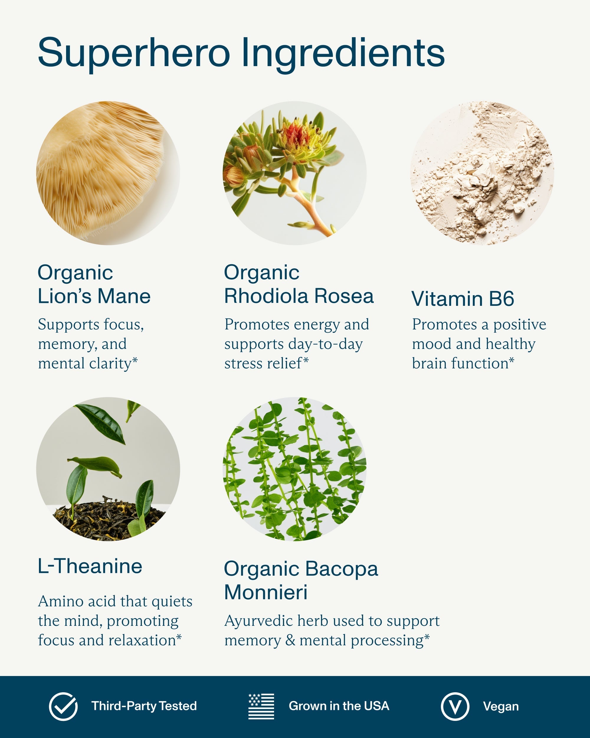 FOCL Day Stack Formular Capsule