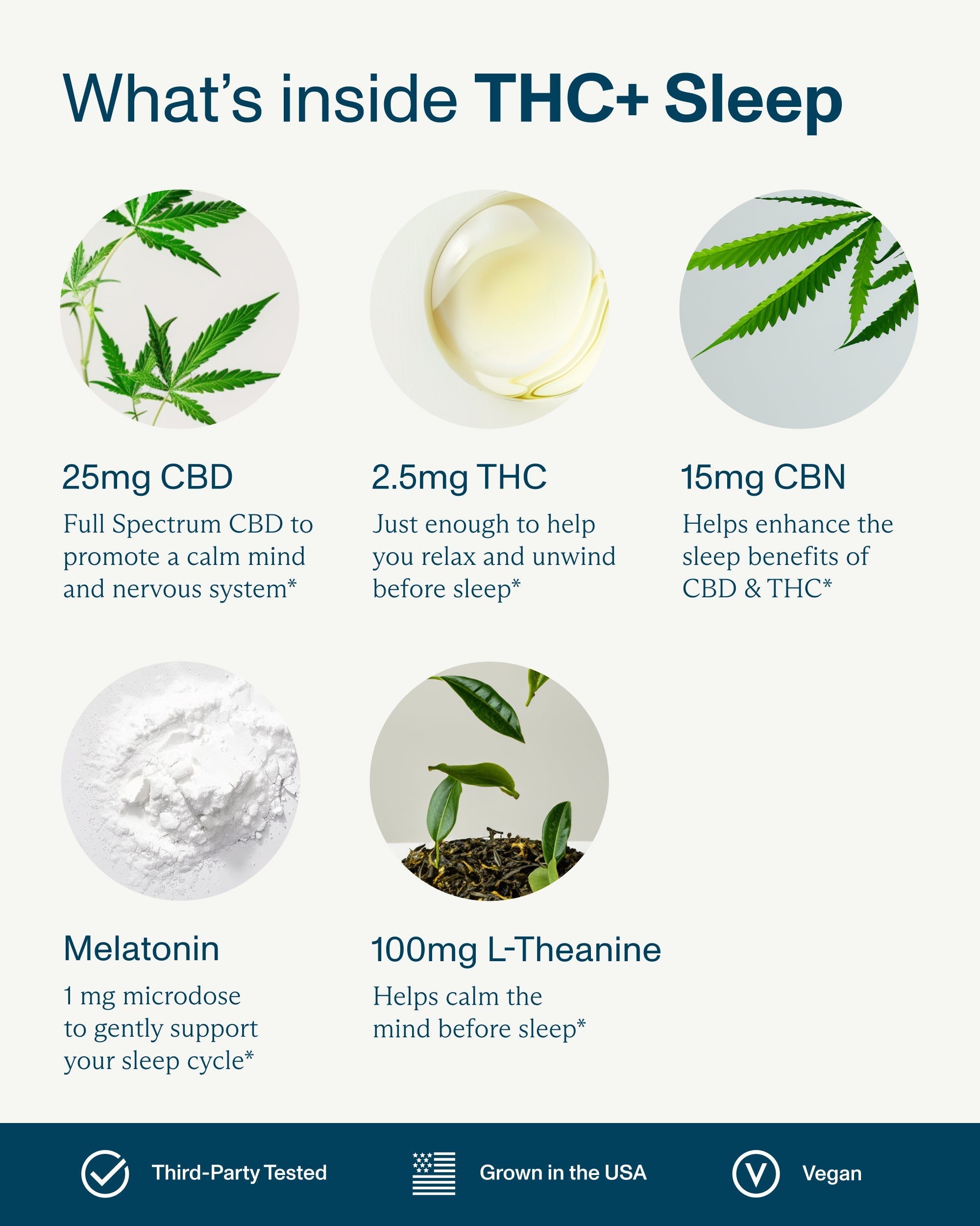 FOCL THC+ All-Day Variety Pack