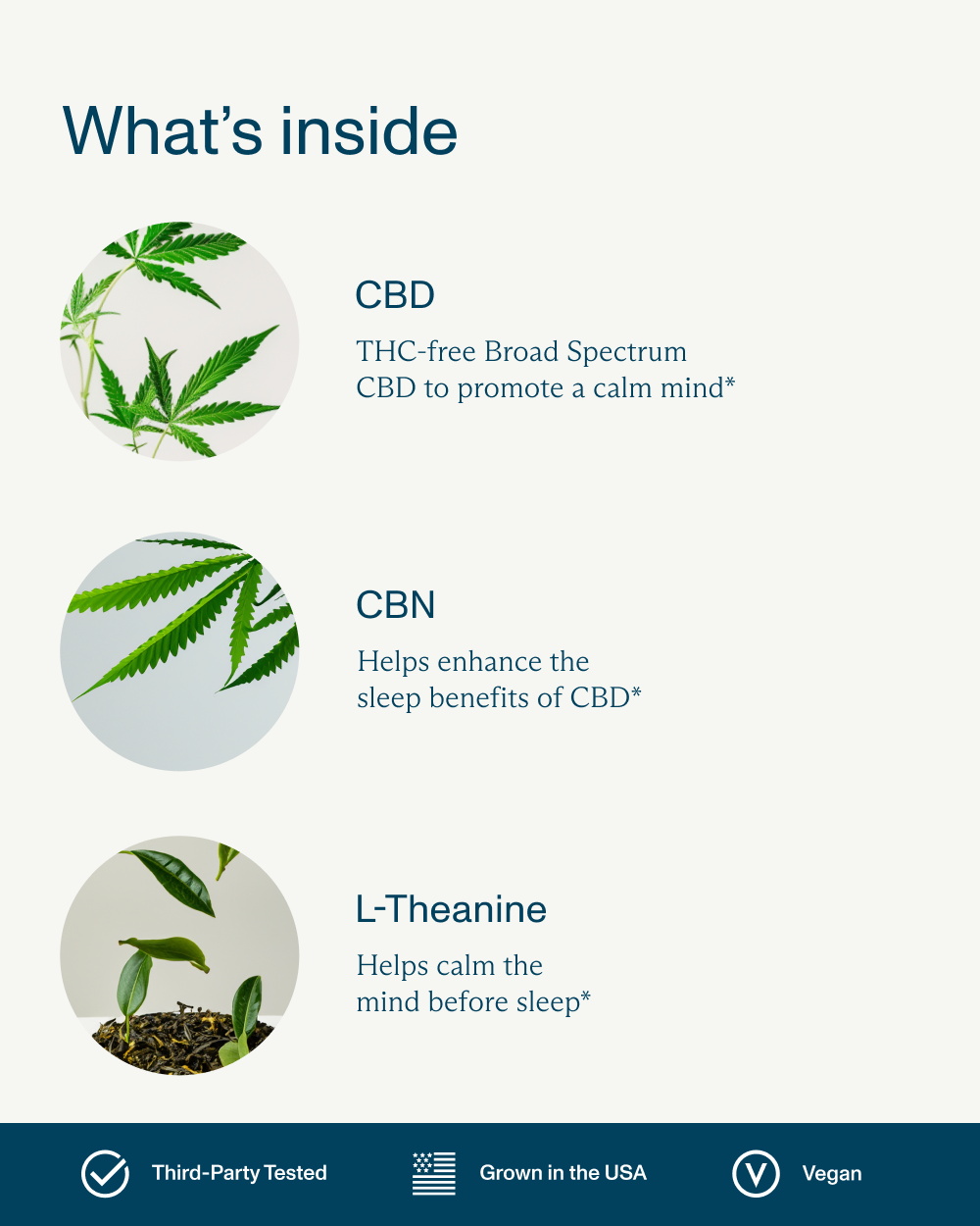 FOCL Good Night Broad Spectrum Sleep Gummies