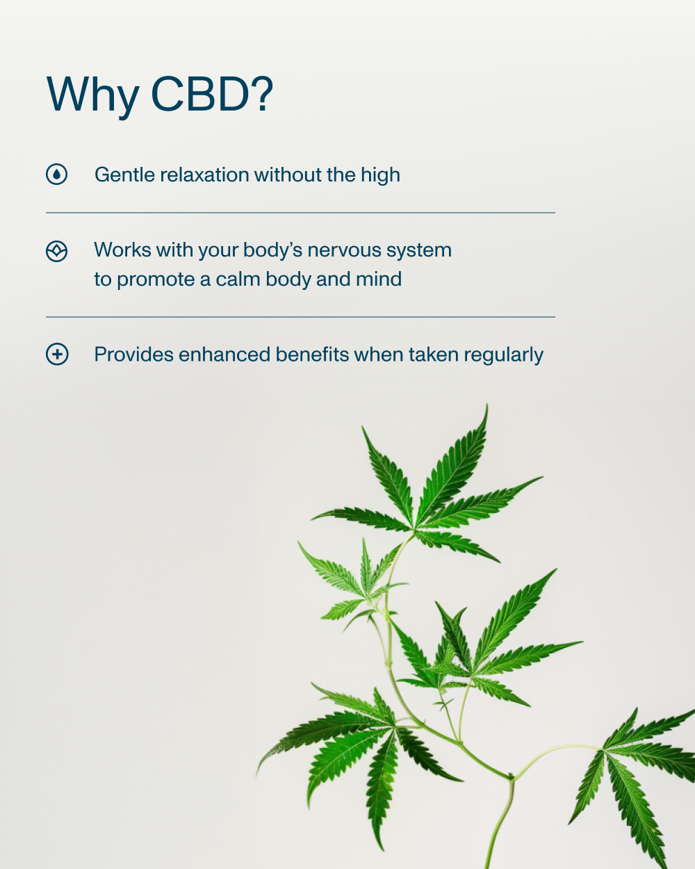 FOCL Good Night Full Spectrum Sleep Gummies