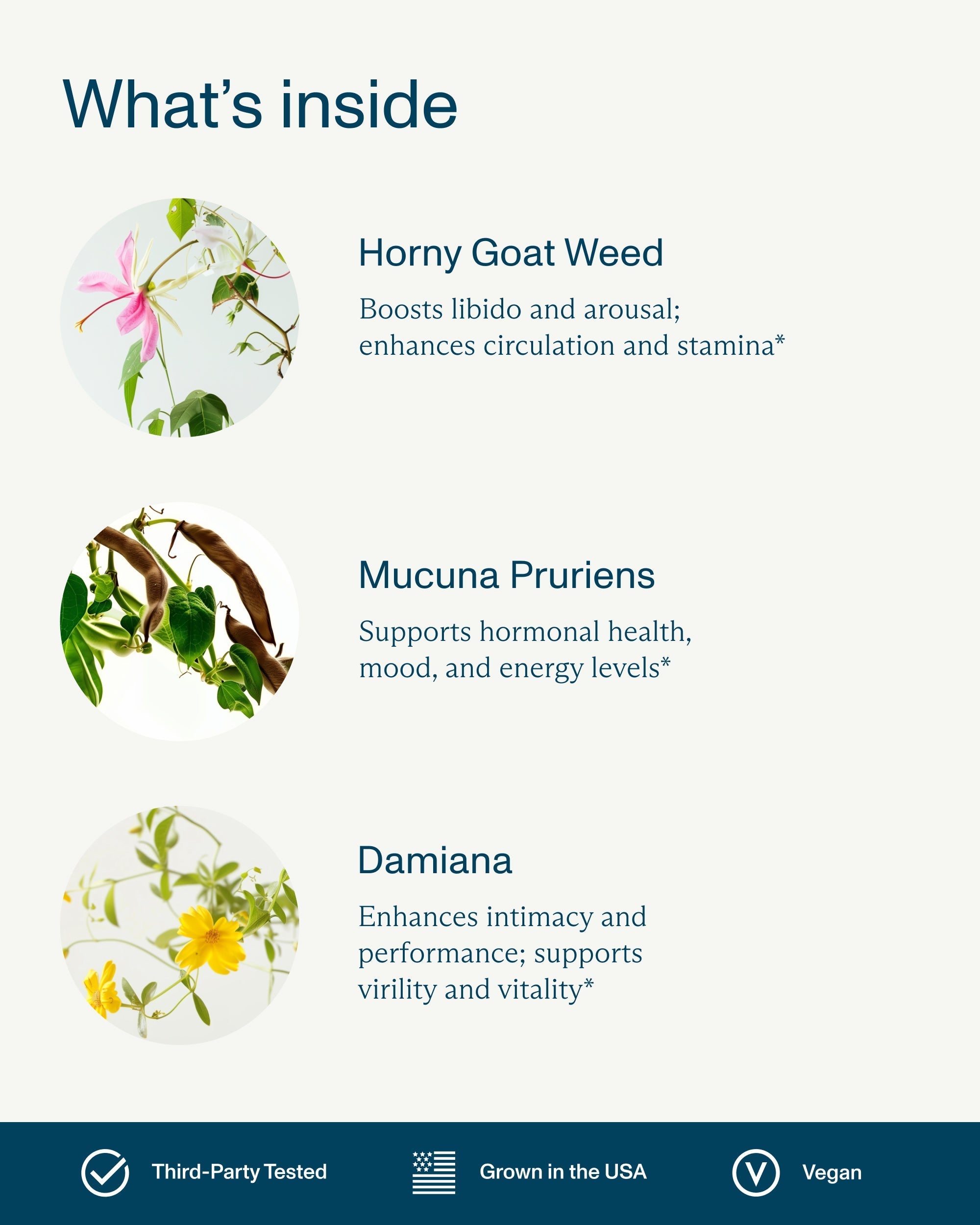 FOCL His Libido Gummies