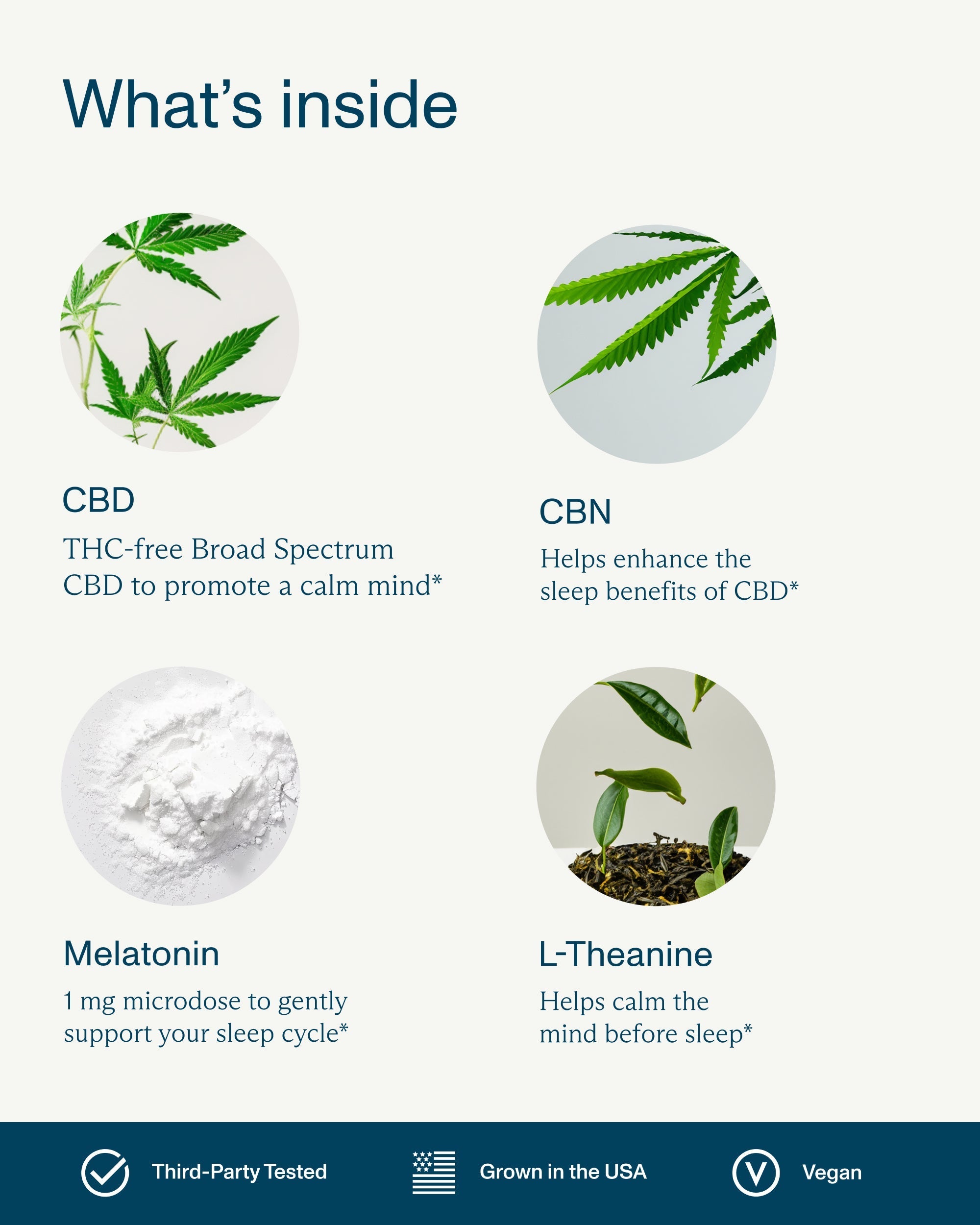 FOCL Sleep Gummies THC-Free