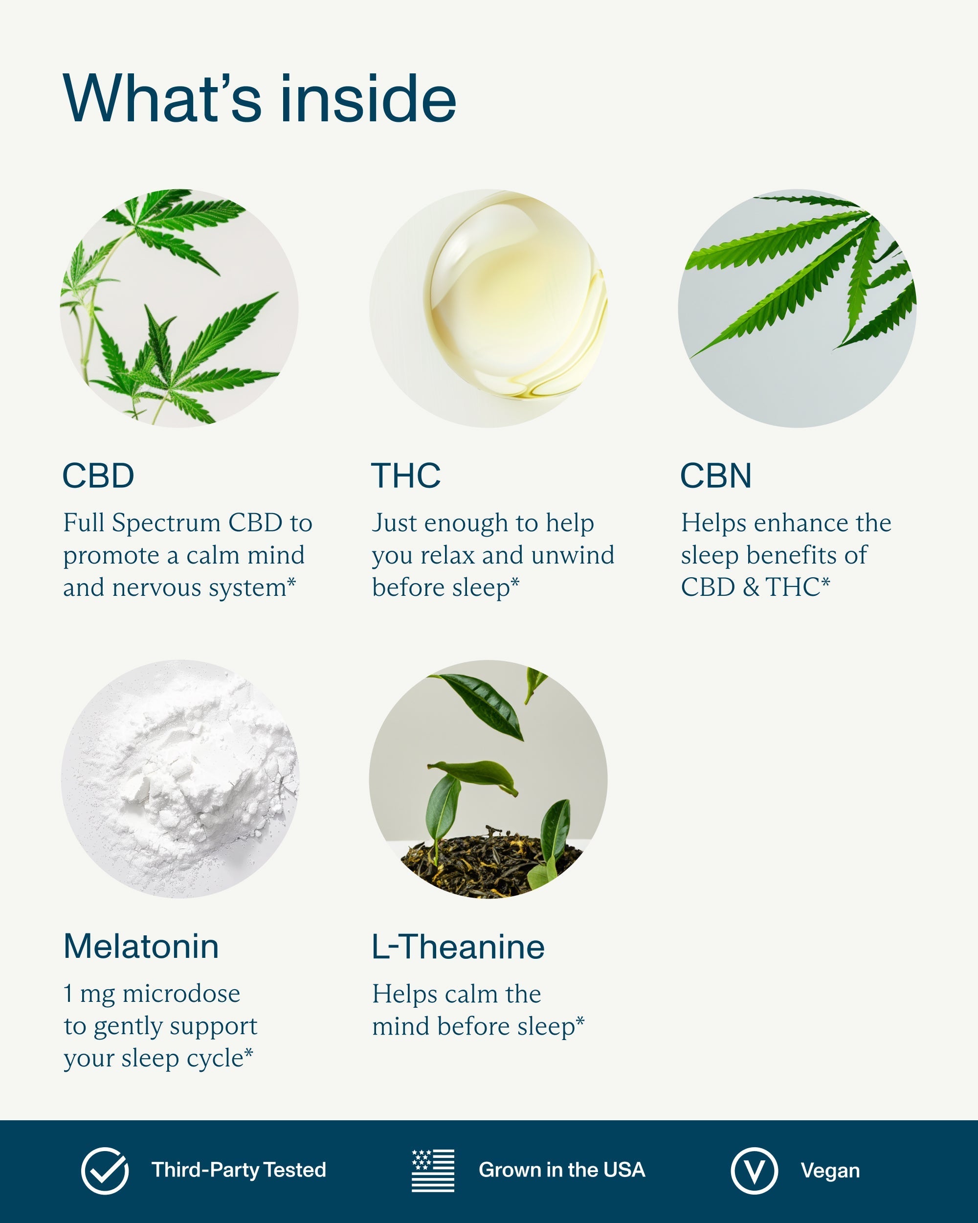 FOCL THC+ Sleep 2.5mg Gummies