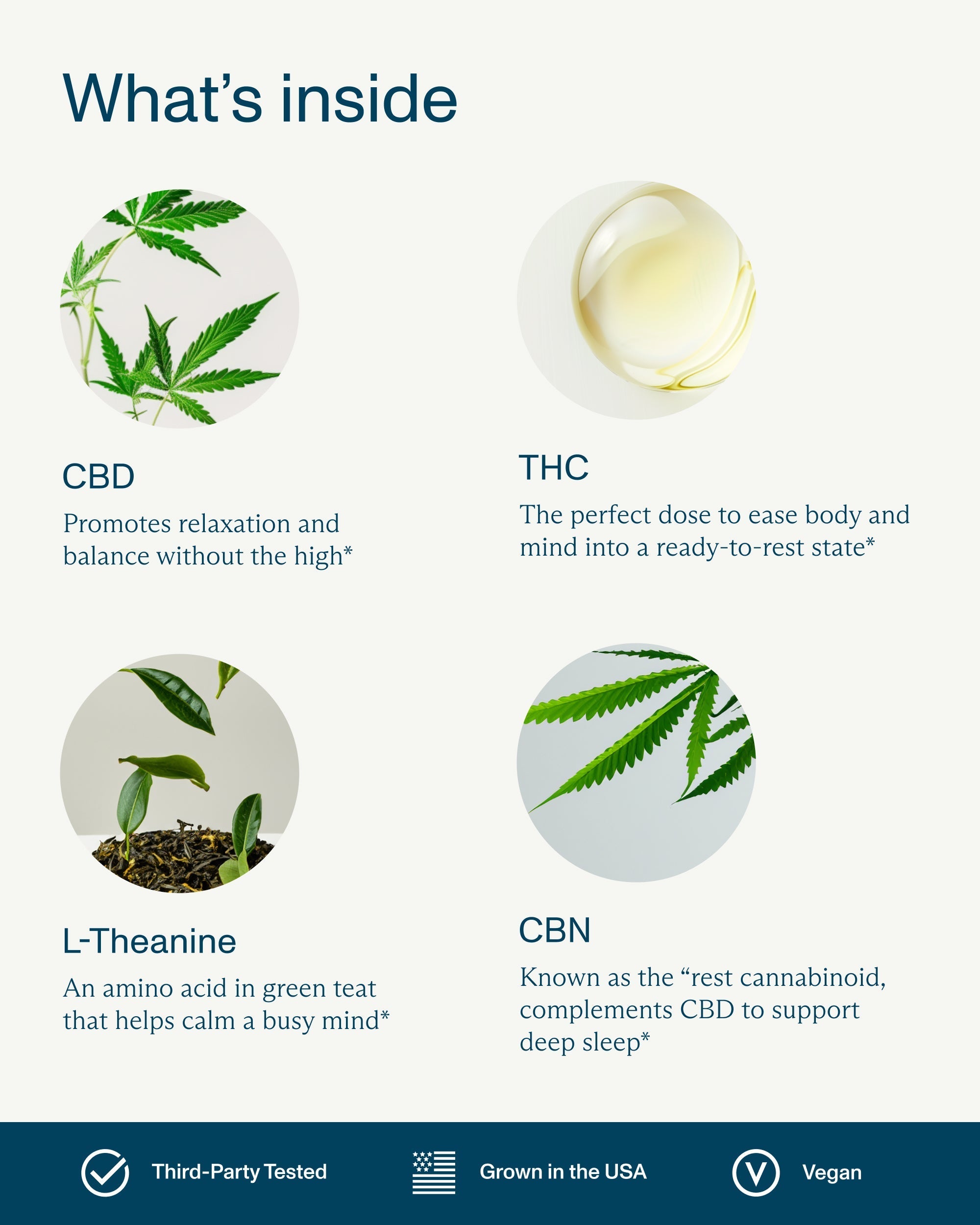 FOCL THC+ Sleep 2.5mg Melatonin-Free Gummies