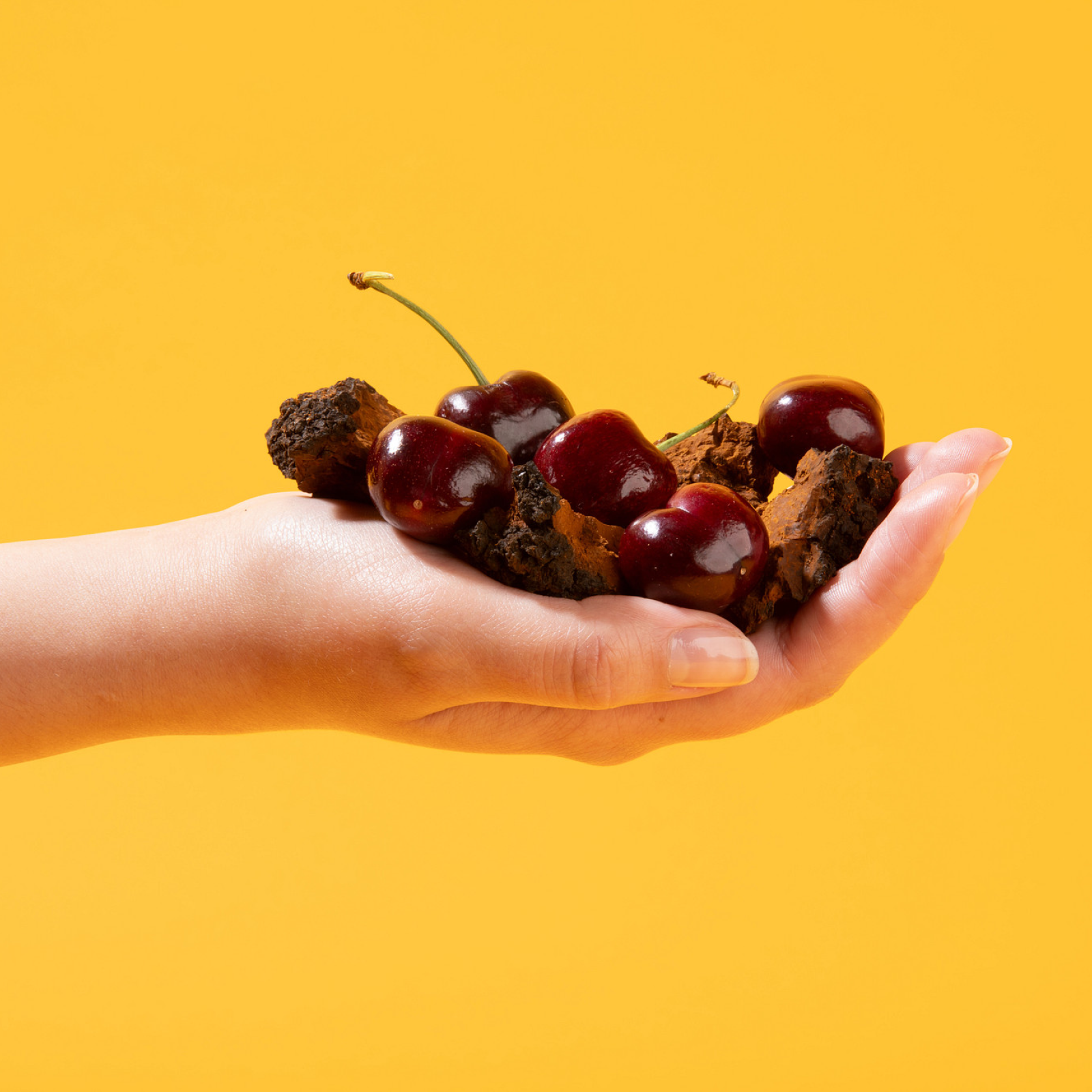 Charlotte's Web Muscle Restore Mushroom Gummy