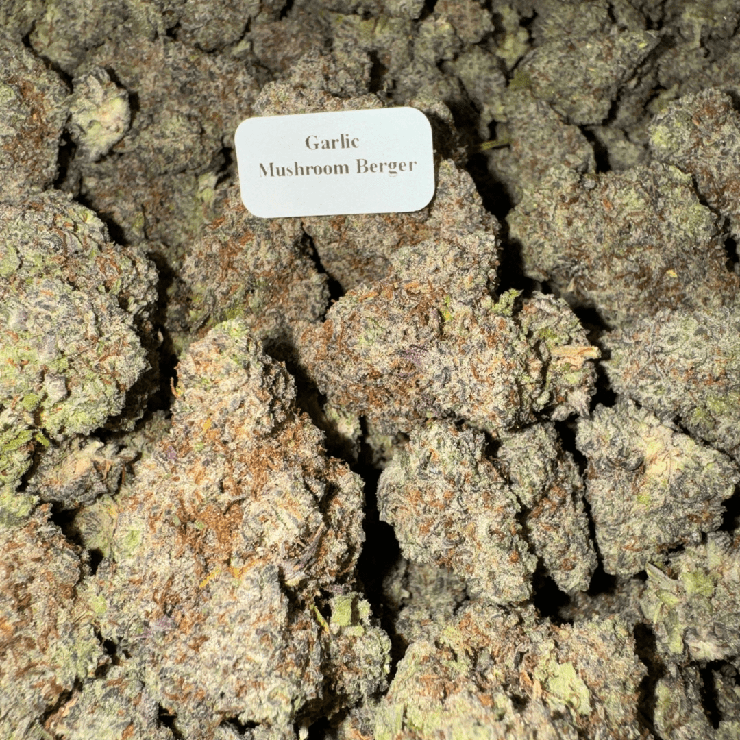 Bloomz THCA Flower – Gold Line Best Price