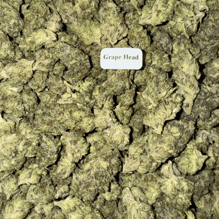 Bloomz THCA Flower Best Price