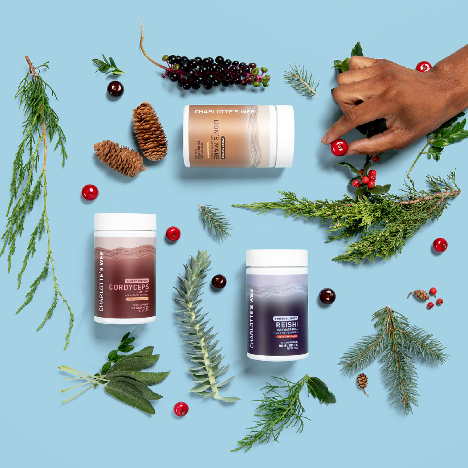 Charlotte's Web The Heart & Soul Bundle Best Price