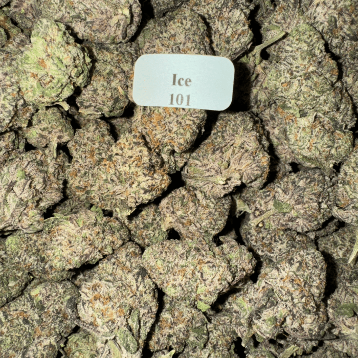 Bloomz Blazed Exotic THCA Flower Best Price