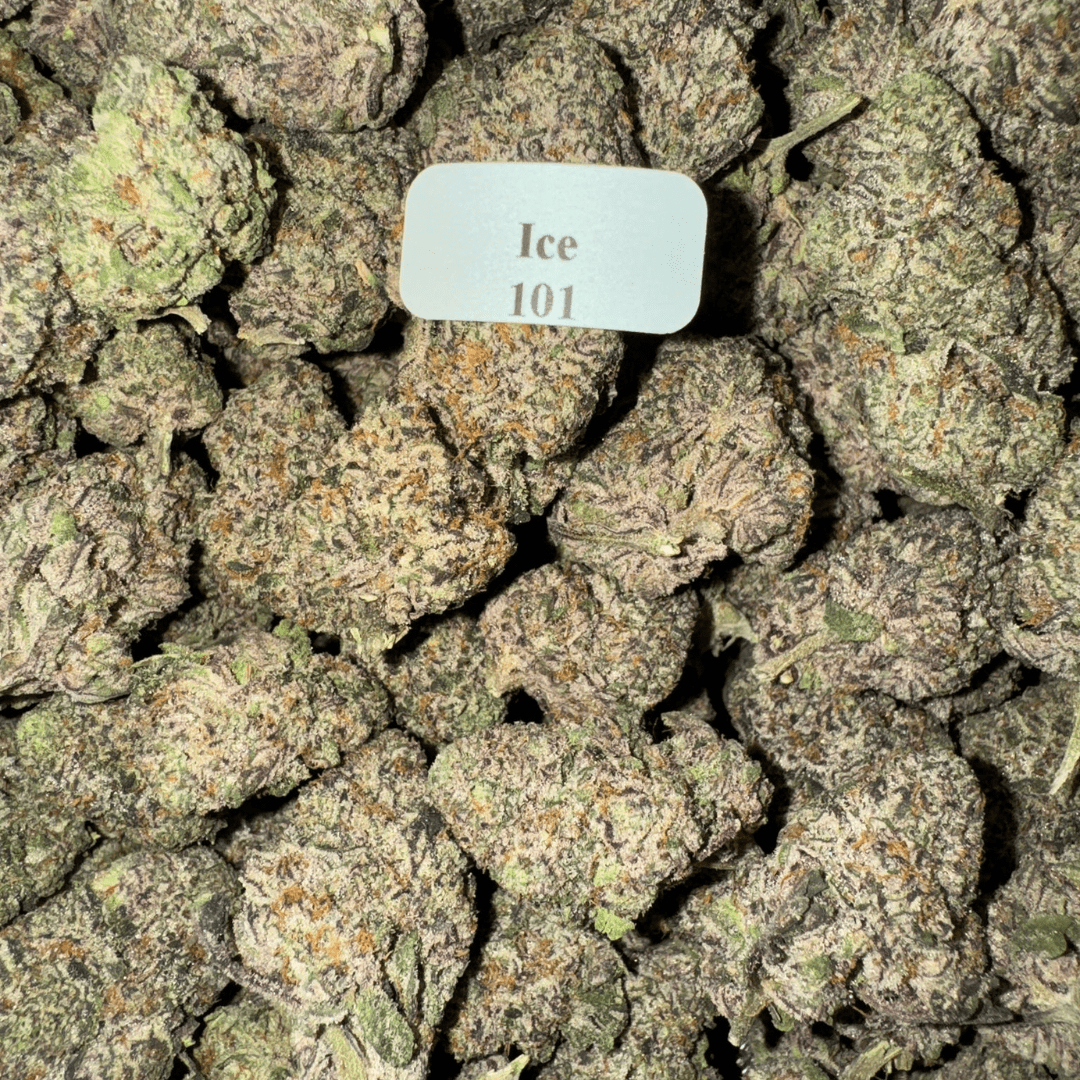 Bloomz Blazed Exotic THCA Flower Best Price