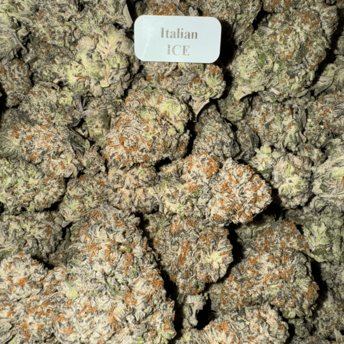 Bloomz THCA Flower – Gold Line Best Price