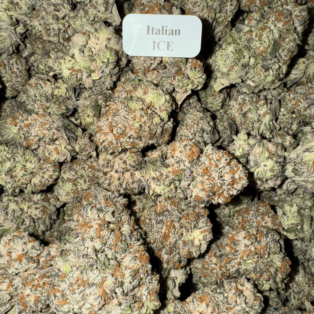 Bloomz THCA Flower – Gold Line Best Price
