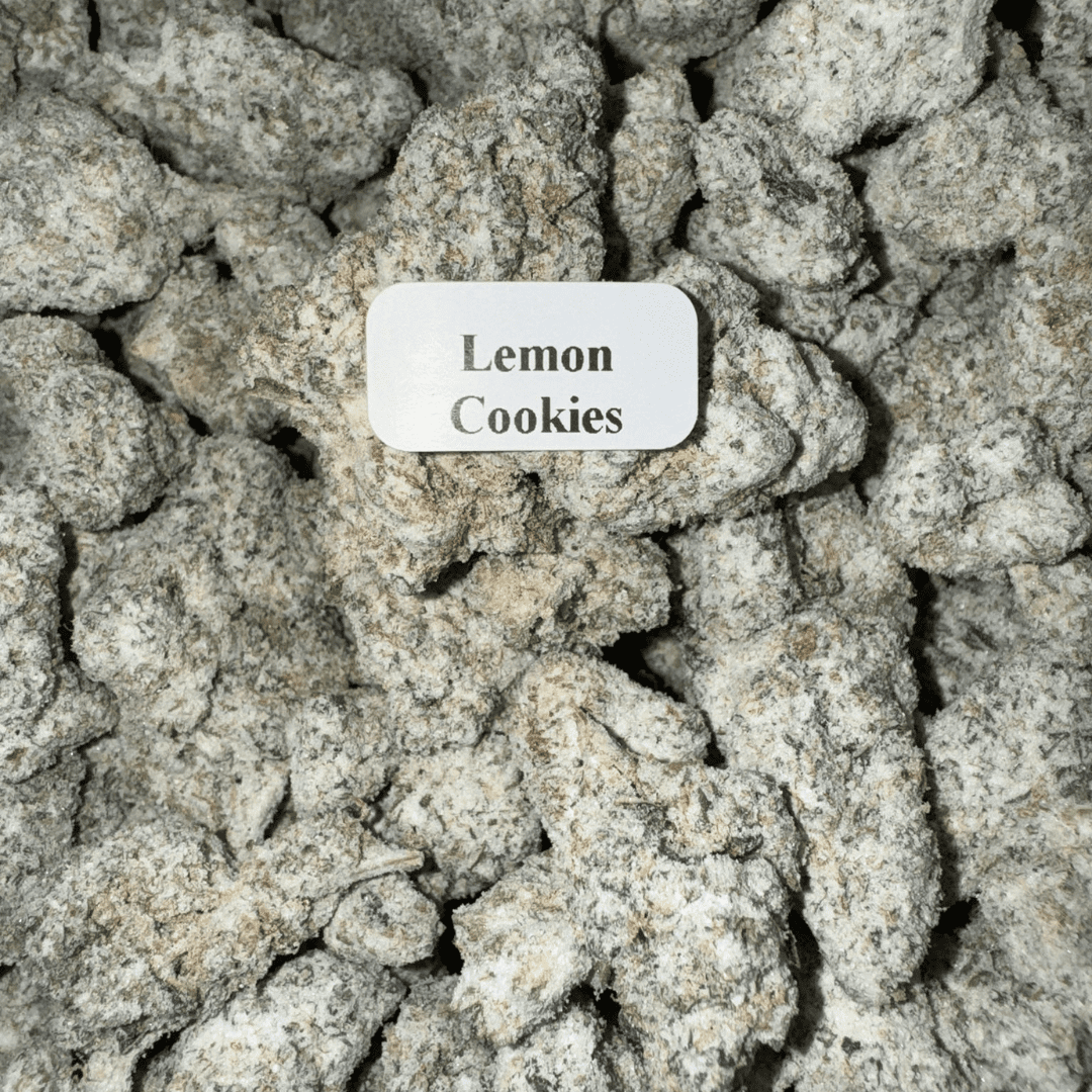 Bloomz THCA Snowballs – Gold Line Best Price