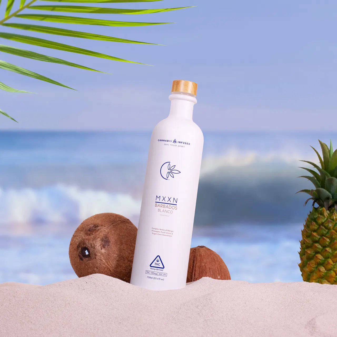 MXXN Barbados Blanco