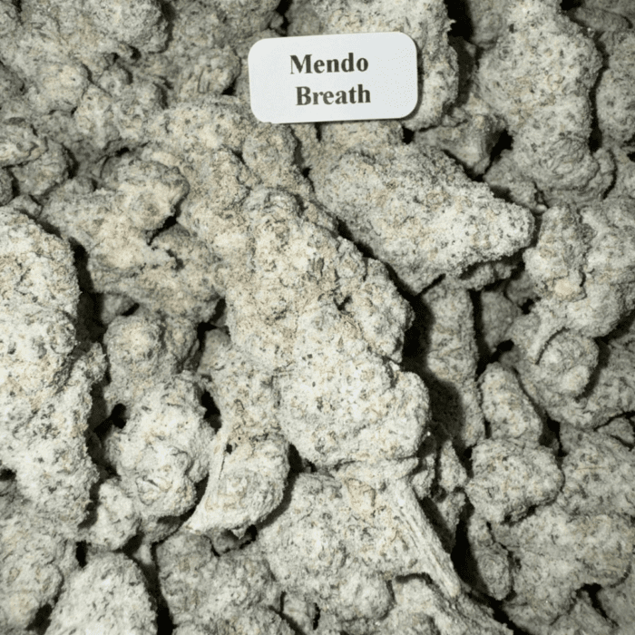 Bloomz Blazed Strongest Exotic Snow Caps Best Price