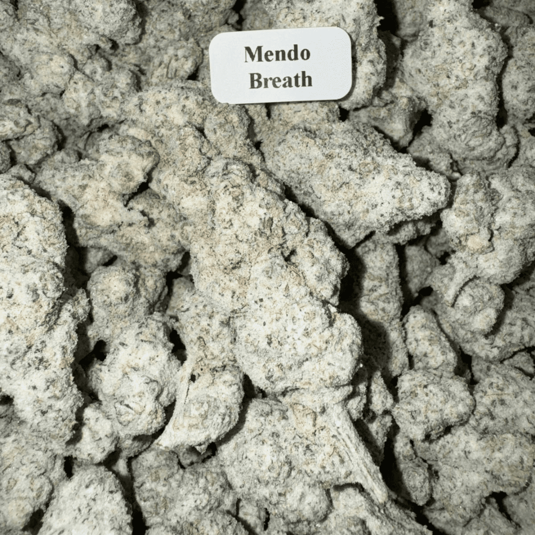 Bloomz Blazed Strongest Exotic Snow Caps Best Price