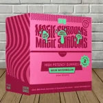 My Magic Shrooms High Potency Mushroom Gummies 2ct Best Price