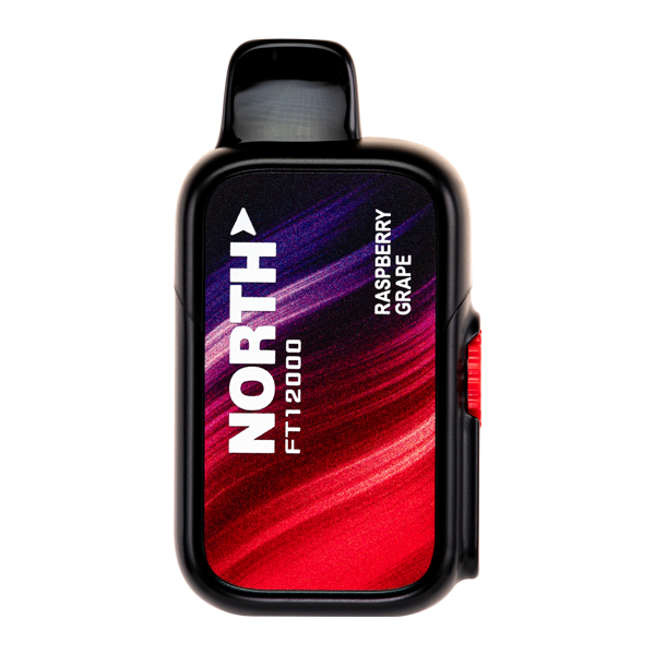 Raspberry Grape North FT12000 Best Sales Price - Disposables
