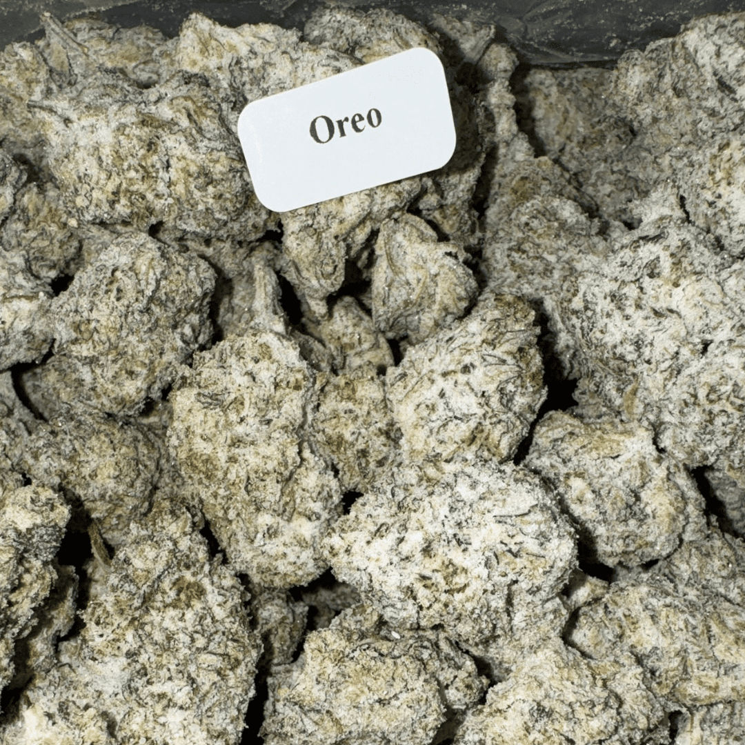 Bloomz THCA Snowballs – Gold Line Best Price