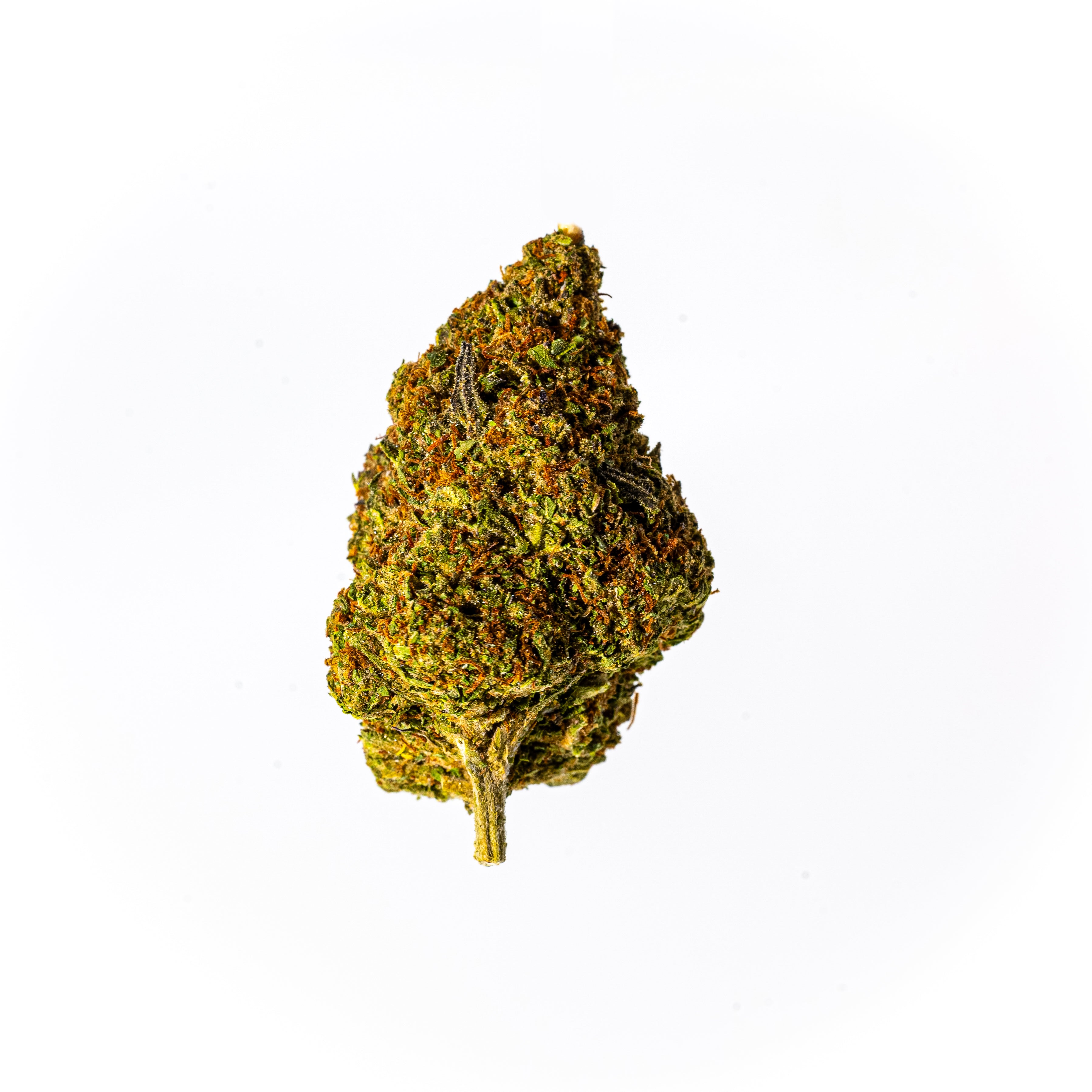 Galaxy Treats Space Nugz THCA Flower - Platinum Kush