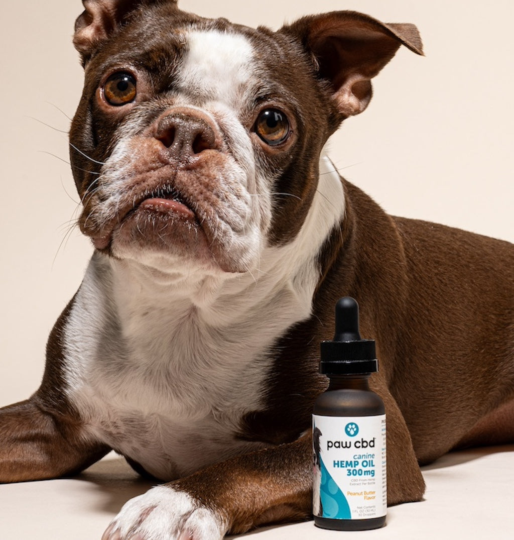 Paw CBD Broad Spectrum CBD Dog Oil Tincture