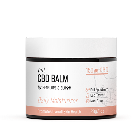 Soothing CBD Pet Balm for Dogs & Cats